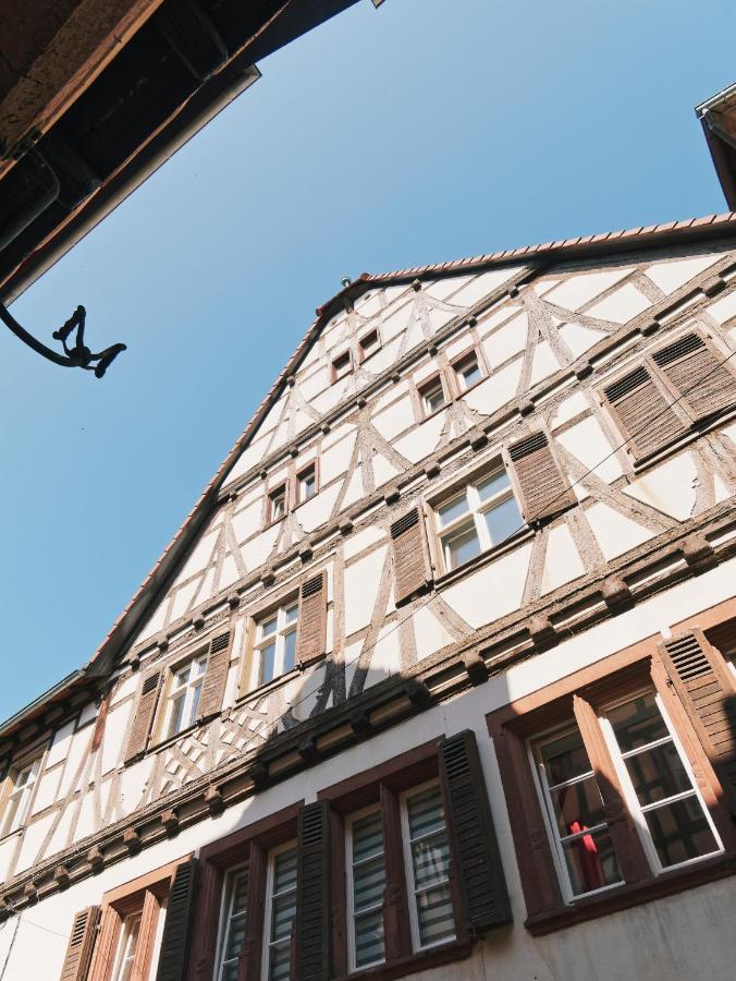 Le Haut Relais Des Seigneurs - 5 Mn Royal Palace De Kirrwiller Bouxwiller  ภายนอก รูปภาพ